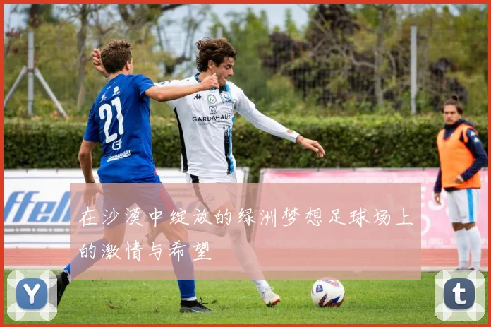 在沙漠中绽放的绿洲梦想足球场上的激情与希望