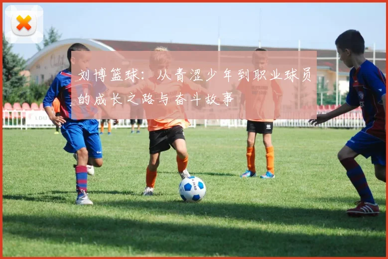 刘博篮球：从青涩少年到职业球员的成长之路与奋斗故事
