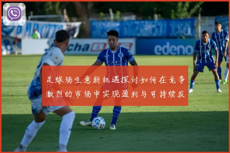 足球场生意新机遇探讨如何在竞争激烈的市场中实现盈利与可持续发展