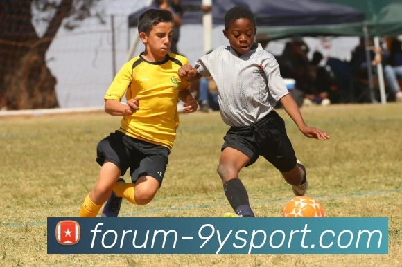 Jiu You Sports官方平台生态图